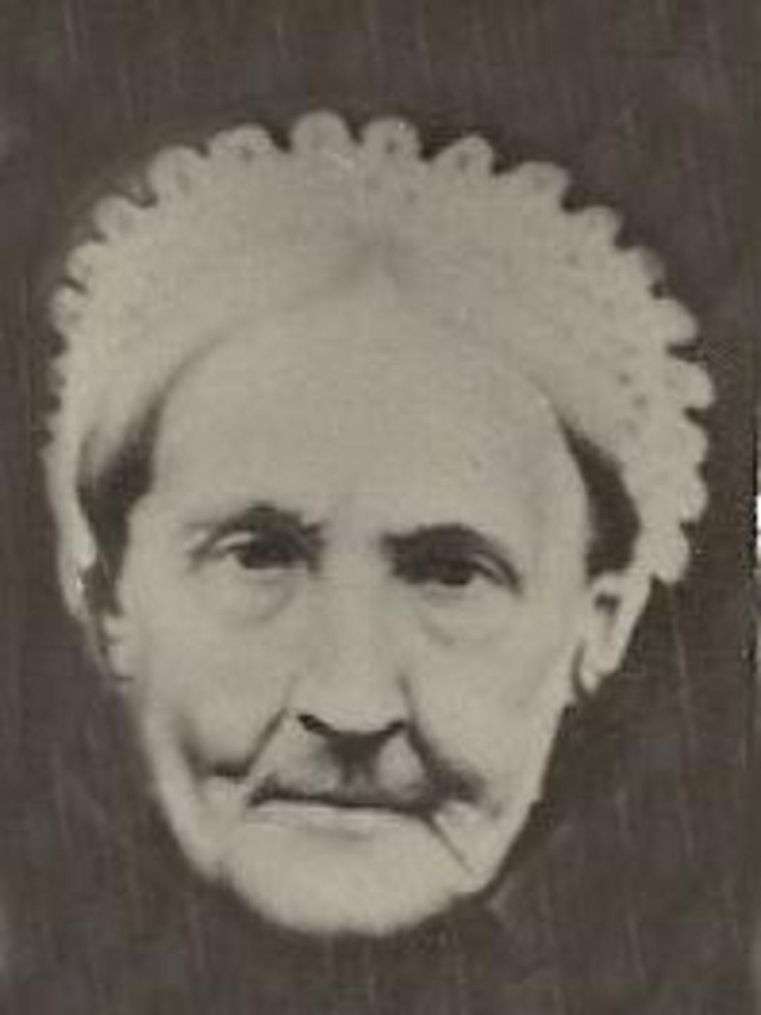 Sarah Collins (1806 - 1881) Profile